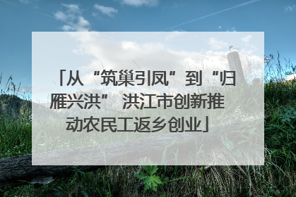 从“筑巢引凤”到“归雁兴洪” 洪江市创新推动农民工返乡创业