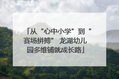 从“心中小学”到“赛场拼搏” 龙湖幼儿园多维铺就成长路
