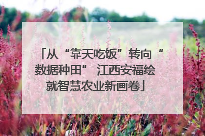 从“靠天吃饭”转向“数据种田” 江西安福绘就智慧农业新画卷