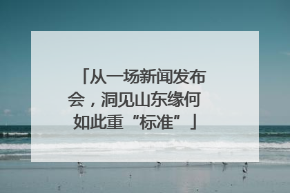 从一场新闻发布会，洞见山东缘何如此重“标准”