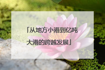 从地方小港到亿吨大港的跨越发展