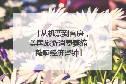 从机票到客房，美国旅游消费萎缩敲响经济警钟