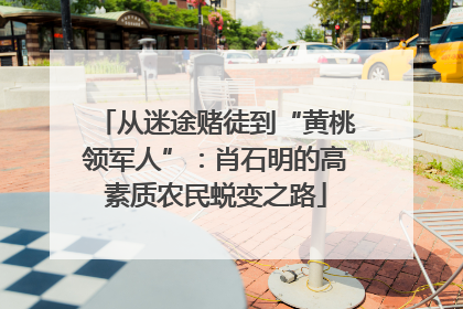 从迷途赌徒到“黄桃领军人”：肖石明的高素质农民蜕变之路