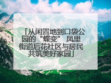 从闲置地到口袋公园的“蝶变” 凤里街道后花社区与居民共筑美好家园