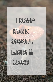 以法护航成长 新华幼儿园创新普法实践