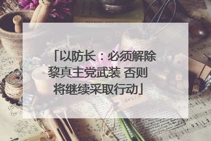 以防长：必须解除黎真主党武装 否则将继续采取行动