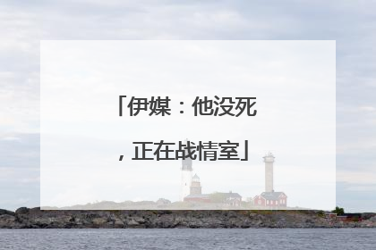 伊媒：他没死，正在战情室
