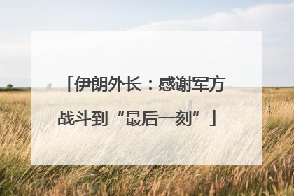 伊朗外长：感谢军方战斗到“最后一刻”