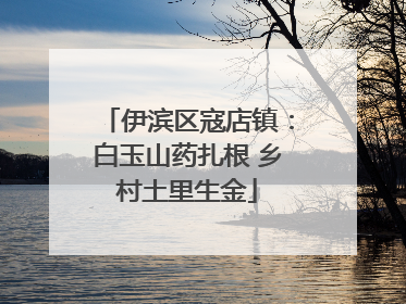 伊滨区寇店镇：白玉山药扎根 乡村土里生金