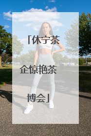 休宁茶企惊艳茶博会