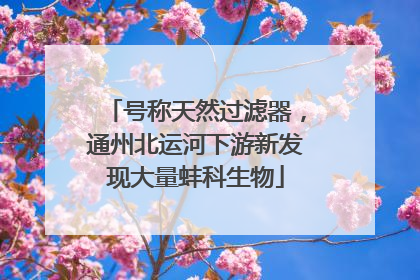 号称天然过滤器，通州北运河下游新发现大量蚌科生物