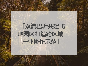 双流巴塘共建飞地园区打造跨区域产业协作示范