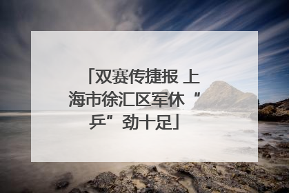 双赛传捷报 上海市徐汇区军休“乒”劲十足