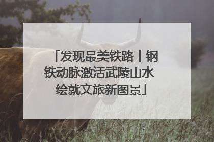 发现最美铁路丨钢铁动脉激活武陵山水 绘就文旅新图景