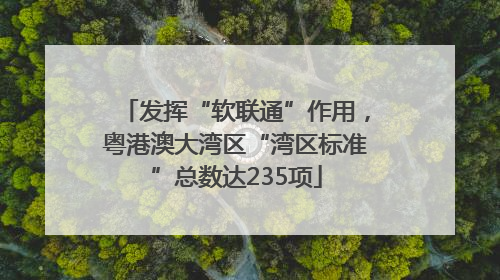 发挥“软联通”作用，粤港澳大湾区“湾区标准”总数达235项