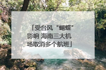 受台风“蝴蝶”影响 海南三大机场取消多个航班