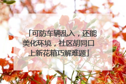 可防车辆乱入，还能美化环境，社区胡同口上新花箱巧解难题