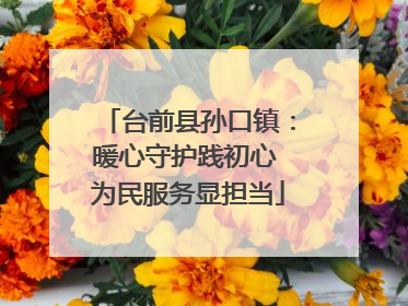 台前县孙口镇：暖心守护践初心 为民服务显担当