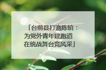 台前县打渔陈镇：为党外青年建跑道 在统战舞台竞风采
