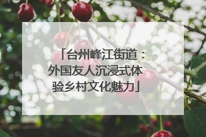 台州峰江街道：外国友人沉浸式体验乡村文化魅力