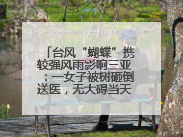 台风“蝴蝶”携较强风雨影响三亚：一女子被树砸倒送医，无大碍当天回家 当地已紧急清障