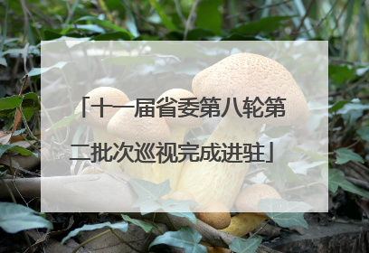 十一届省委第八轮第二批次巡视完成进驻
