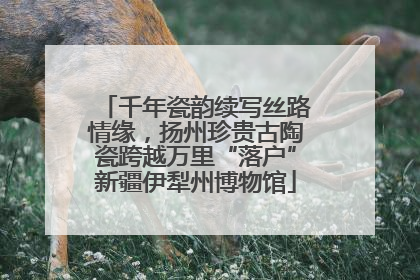 千年瓷韵续写丝路情缘，扬州珍贵古陶瓷跨越万里“落户”新疆伊犁州博物馆