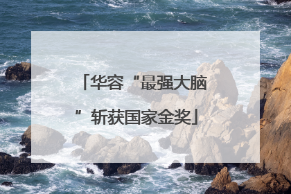 华容“最强大脑”斩获国家金奖
