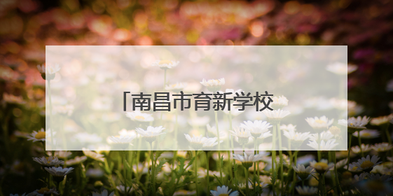 南昌市育新学校临江校区开展端午节系列教育活动