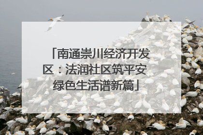 南通崇川经济开发区：法润社区筑平安 绿色生活谱新篇