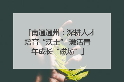 南通通州：深耕人才培育“沃土” 激活青年成长“磁场”