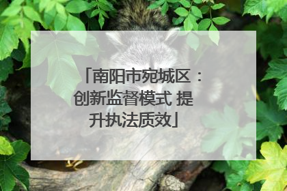 南阳市宛城区：创新监督模式 提升执法质效