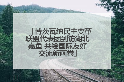 博茨瓦纳民主变革联盟代表团到访湖北嘉鱼 共绘国际友好交流新画卷