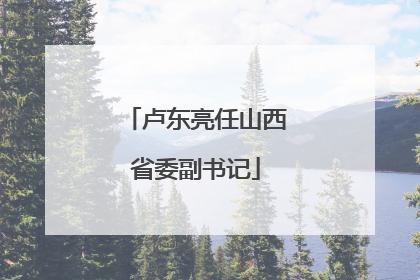 卢东亮任山西省委副书记