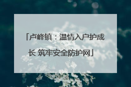 卢峰镇：温情入户护成长 筑牢安全防护网