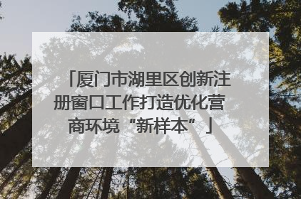 厦门市湖里区创新注册窗口工作打造优化营商环境“新样本”