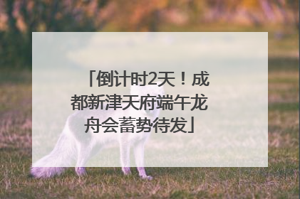 倒计时2天！成都新津天府端午龙舟会蓄势待发