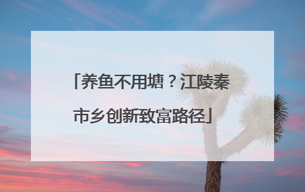 养鱼不用塘？江陵秦市乡创新致富路径