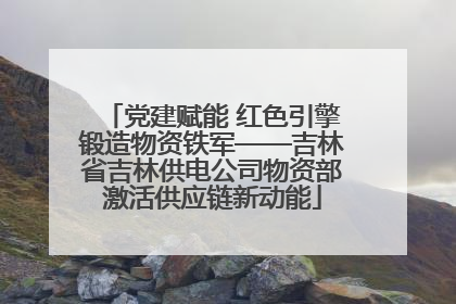 党建赋能 红色引擎锻造物资铁军——吉林省吉林供电公司物资部激活供应链新动能