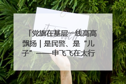 党旗在基层一线高高飘扬｜是民警、是“儿子”——申飞飞在太行山中的一线坚守