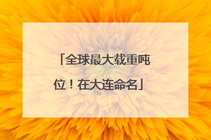 全球最大载重吨位！在大连命名