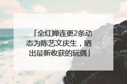 全红婵连更2条动态为陈艺文庆生，晒出最新收获的玩偶