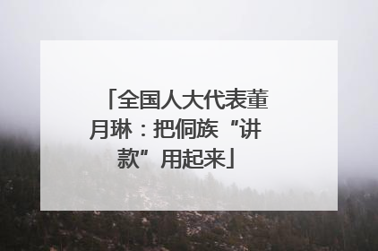 全国人大代表董月琳：把侗族“讲款”用起来