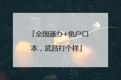全国通办+免户口本，武昌打个样