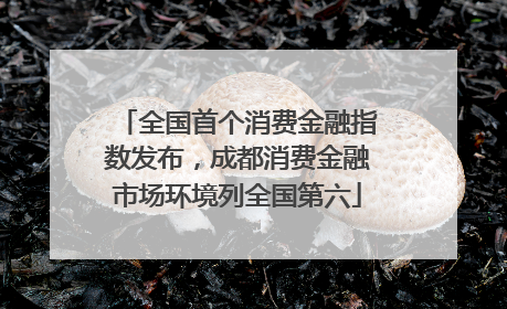 全国首个消费金融指数发布，成都消费金融市场环境列全国第六
