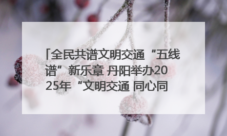 全民共谱文明交通“五线谱”新乐章 丹阳举办2025年“文明交通 同心同行”主题宣传活动