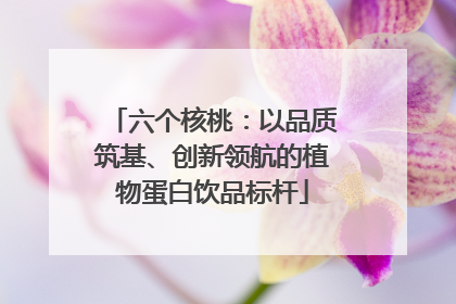 六个核桃：以品质筑基、创新领航的植物蛋白饮品标杆