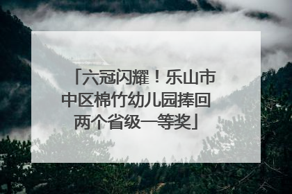 六冠闪耀！乐山市中区棉竹幼儿园捧回两个省级一等奖