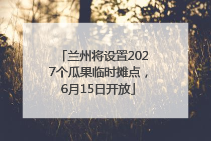 兰州将设置2027个瓜果临时摊点，6月15日开放