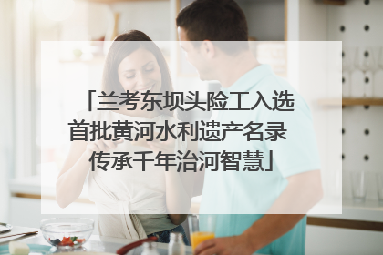 兰考东坝头险工入选首批黄河水利遗产名录 传承千年治河智慧